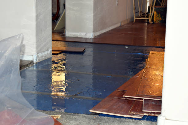Professional Burst Pipe Cleanup technician working in East Templeton, MA